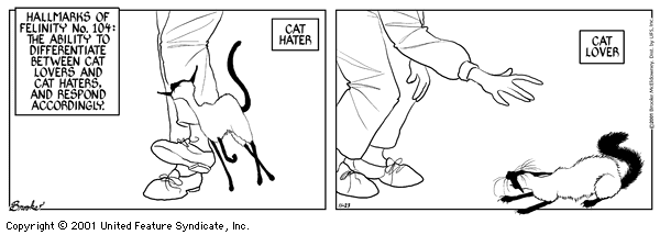 Esta siamesa &eacute; a Solange, personagem que aparece em mais 173 tirinhas como essa, extra&iacute;da do livro Hallmarks of Felinity, publicado na &iacute;ntegra neste endere&ccedil;o. &Eacute; s&oacute; clicar.