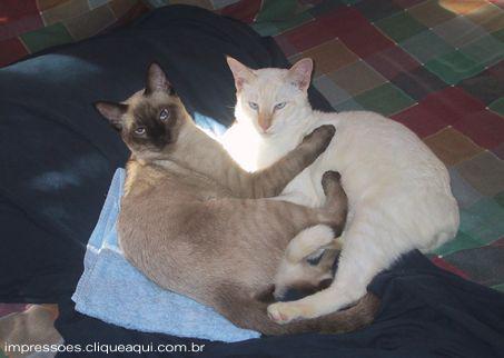 Ravel e Tim flagrados em momento de pura fraternidade