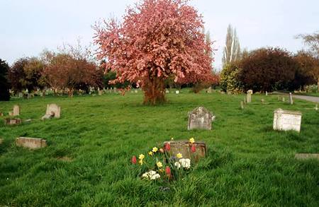 Arte na teia: uma bel&iacute;ssima instala&ccedil;&atilde;o com fotografias de Jonathan Clark.