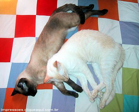 zzzzzzzzzzzzzzzzzzzzzzzzzzzzzzzzz...