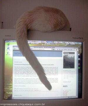 pr&aacute; ser mais folgado s&oacute; mesmo com um monitor maior...